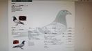 IMG-20181007-WA0054