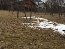 Căutam un baiat