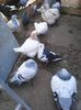 Photo1610 - Copy