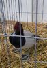 20181230_105412 (2)