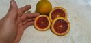 Citrus sinensis moro