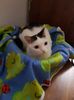 received_1748994131799888