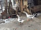 received_885760168160280