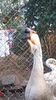 Screenshot_20190111-103327_Video Player