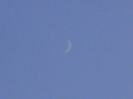 Luna noua in Pesti