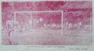 CFR Timisoara - Armatura Zalau 1988-1989