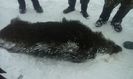 IMG-20190113-WA0010