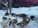 IMG-20190112-WA0043