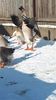 VideoCapture_20190117-123934
