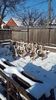 VideoCapture_20190117-124102