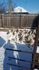VideoCapture_20190117-124027