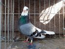 20190118_132800(0)