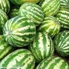 crimson_sweet_pepeni-verziflorian-bulgaria-franta-origine-seminte-pepene-rosu-pret-456x456