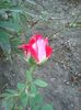 Photo0483