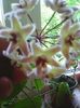 Photo0411