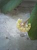 Photo0416