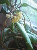 Photo0417
