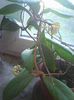 Photo0418