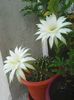Photo0476