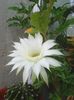 Photo0477