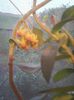 Photo0480