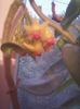 Photo0481