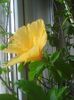 Photo0493