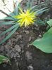 Photo0507