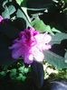 Photo0548