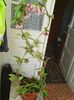 Photo0557