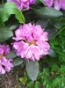 Photo0562
