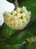 Photo0563