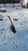 IMG-20190108-WA0001