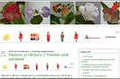 Actualizare pe blog - http://gesneriaceae.flori-si-plante.ro/?p=4072