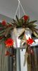 Chamaecereus