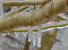 Freezing rain