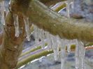 Freezing rain