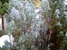 Freezing rain
