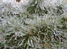 Freezing rain