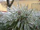 Freezing rain