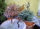 Freezing rain