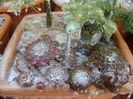 Freezing rain