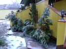 Freezing rain