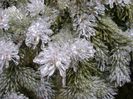 Freezing rain