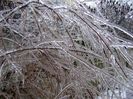 Freezing rain