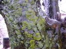 Freezing rain