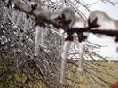 Freezing rain