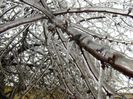 Freezing rain