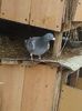 received_602142766893169