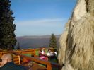 COTA 1400 SINAIA 14 OCT 2018 (34)